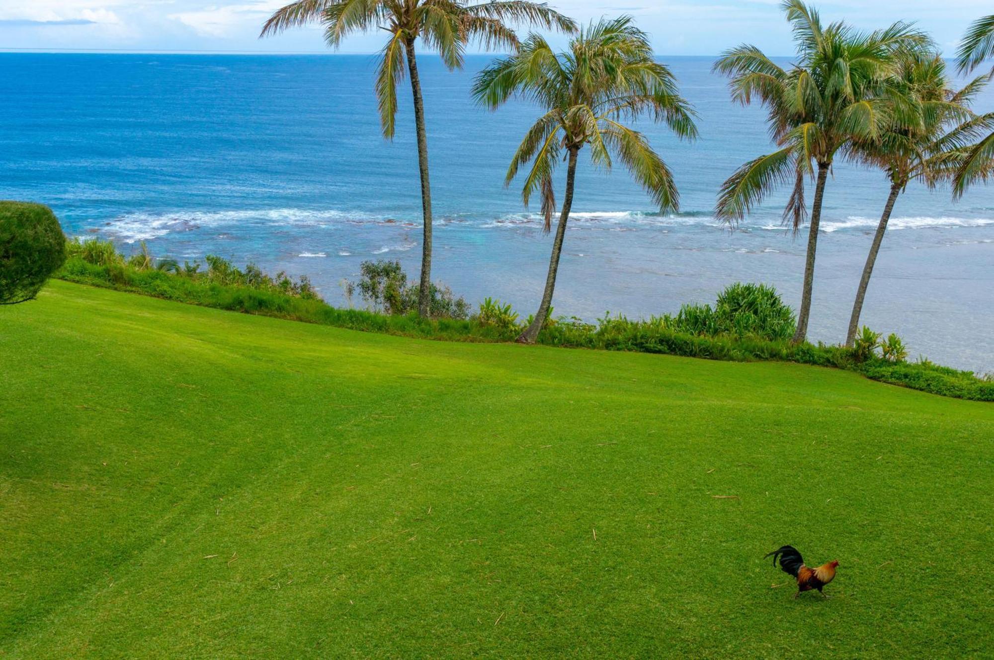 Sealodge J9 Princeville Exterior photo
